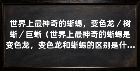 世界上最神奇的蜥蜴，变色龙／树蜥／巨蜥（世界上最神奇的蜥蜴是变色龙，变色龙和蜥蜴的区别是什么