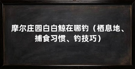 摩尔庄园白白鲸在哪钓（栖息地、捕食习惯、钓技巧）