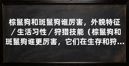 棕鬣狗和斑鬣狗谁厉害,外貌特征/生活习性/狩猎技能(棕鬣狗和斑鬣狗谁更厉害,它们在生存和狩猎方面都有着独特的优势