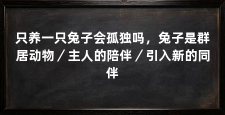 只养一只兔子会孤独吗,兔子是群居动物/主人的陪伴/引入新的同伴