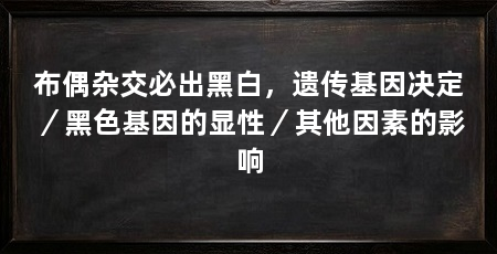 布偶杂交必出黑白，遗传基因决定／黑色基因的显性／其他因素的影响