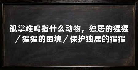 孤掌难鸣指什么动物，独居的猩猩／猩猩的困境／保护独居的猩猩