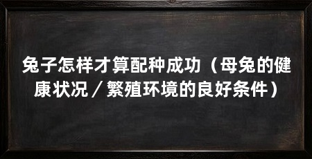 兔子怎样才算配种成功（母兔的健康状况／繁殖环境的良好条件）