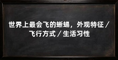 世界上最会飞的蜥蜴,外观特征/飞行方式/生活习性