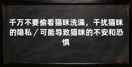 千万不要偷看猫咪洗澡，干扰猫咪的隐私／可能导致猫咪的不安和恐惧