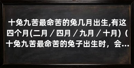 十兔九苦最命苦的兔几月出生,有这四个月(二月／四月／九月／十月)（十兔九苦最命苦的兔子出生时，会有这四个月出生的兔子