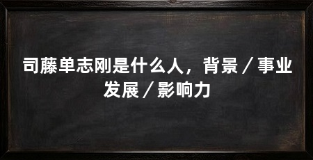 司藤单志刚是什么人，背景／事业发展／影响力