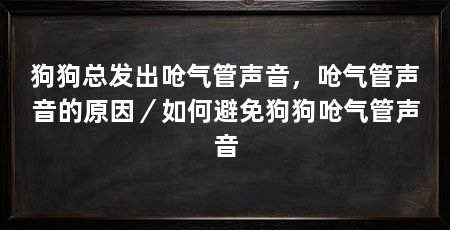 狗狗总发出呛气管声音,呛气管声音的原因/如何避免狗狗呛气管声音