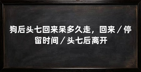 狗后头七回来呆多久走,回来/停留时间/头七后离开