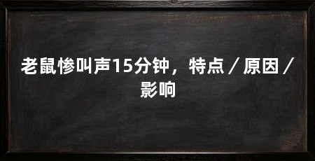 老鼠惨叫声15分钟，特点／原因／影响