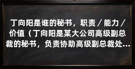 丁向阳是谁的秘书,职责/能力/价值(丁向阳是某大公司高级副总裁的秘书,负责协助高级副总裁处理日常工作