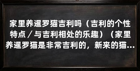 家里养暹罗猫吉利吗（吉利的个性特点／与吉利相处的乐趣）（家里养暹罗猫是非常吉利的，新来的猫咪，不建议喂成大胖子