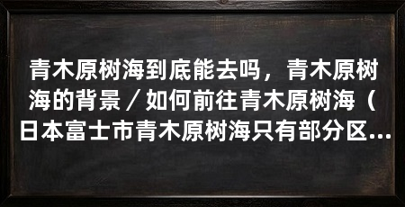 青木原树海到底能去吗，青木原树海的背景／如何前往青木原树海（日本富士市青木原树海只有部分区域对外开放，游客需要提前申请才能进入