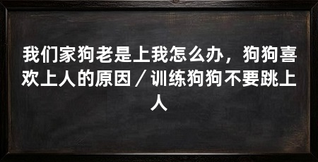我们家狗老是上我怎么办，狗狗喜欢上人的原因／训练狗狗不要跳上人