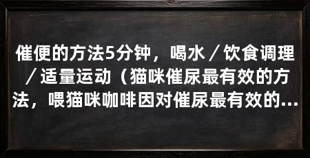 催便的方法5分钟,喝水/饮食调理/适量运动(猫咪催尿最有效的方法,喂猫咪咖啡因对催尿最有效的方法