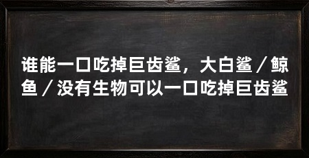 谁能一口吃掉巨齿鲨，大白鲨／鲸鱼／没有生物可以一口吃掉巨齿鲨