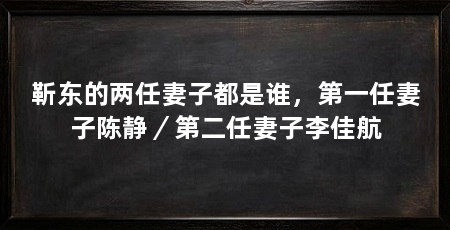 靳东的两任妻子都是谁，第一任妻子陈静／第二任妻子李佳航