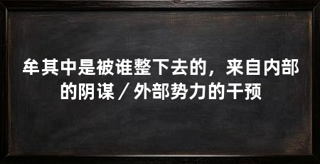 牟其中是被谁整下去的，来自内部的阴谋／外部势力的干预