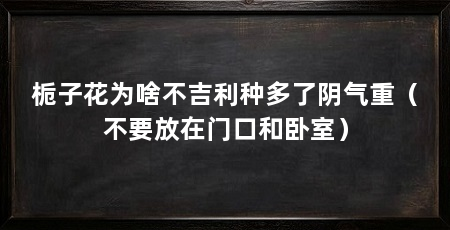 栀子花为啥不吉利种多了阴气重(不要放在门口和卧室)