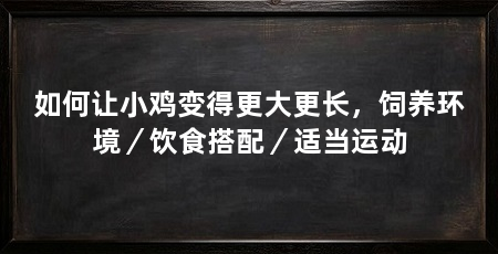 如何让小鸡变得更大更长,饲养环境/饮食搭配/适当运动