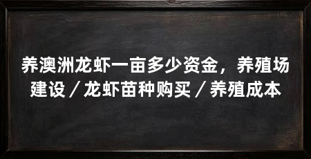 养澳洲龙虾一亩多少资金，养殖场建设／龙虾苗种购买／养殖成本