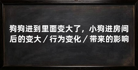 狗狗进到里面变大了,小狗进房间后的变大/行为变化/带来的影响