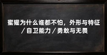 蜜獾为什么谁都不怕，外形与特征／自卫能力／勇敢与无畏