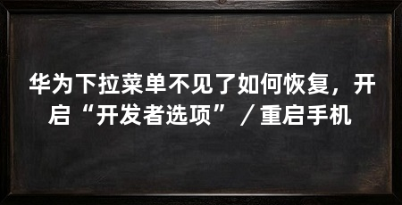 华为下拉菜单不见了如何恢复,开启“开发者选项”/重启手机