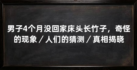 男子4个月没回家床头长竹子，奇怪的现象／人们的猜测／真相揭晓