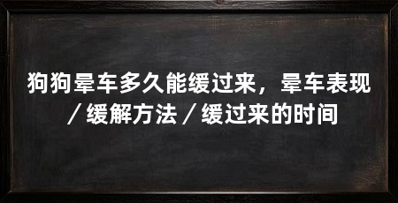 狗狗晕车多久能缓过来,晕车表现/缓解方法/缓过来的时间