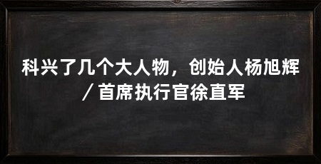科兴了几个大人物，创始人杨旭辉／首席执行官徐直军