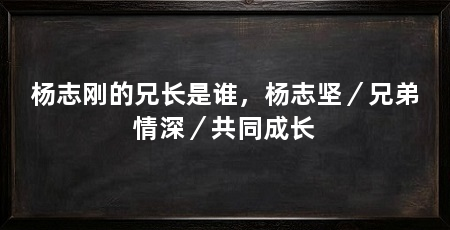杨志刚的兄长是谁,杨志坚/兄弟情深/共同成长
