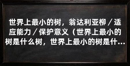 世界上最小的树，翁达利亚柳／适应能力／保护意义（世界上最小的树是什么树，世界上最小的树是什么树叫矮柳