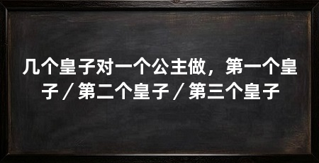 几个皇子对一个公主做,第一个皇子/第二个皇子/第三个皇子