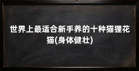 世界上最适合新手养的十种猫狸花猫(身体健壮)