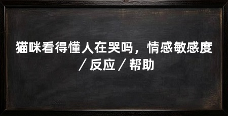 猫咪看得懂人在哭吗，情感敏感度／反应／帮助