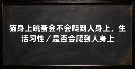 猫身上跳蚤会不会爬到人身上,生活习性/是否会爬到人身上