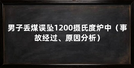 男子丢煤误坠1200摄氏度炉中(事故经过、原因分析)