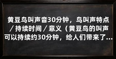 黄豆鸟叫声音30分钟，鸟叫声特点／持续时间／意义（黄豆鸟的叫声可以持续约30分钟，给人们带来了美妙的听觉享受