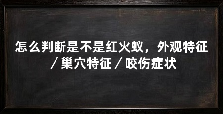 怎么判断是不是红火蚁,外观特征/巢穴特征/咬伤症状