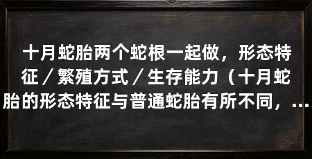 十月蛇胎两个蛇根一起做，形态特征／繁殖方式／生存能力（十月蛇胎的形态特征与普通蛇胎有所不同，十月蛇胎的繁殖方式