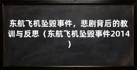 东航飞机坠毁事件,悲剧背后的教训与反思(东航飞机坠毁事件2014)