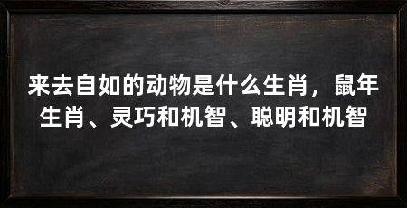 来去自如的动物是什么生肖，鼠年生肖、灵巧和机智、聪明和机智
