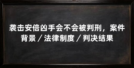 袭击安倍凶手会不会被判刑，案件背景／法律制度／判决结果