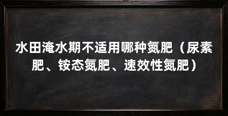 水田淹水期不适用哪种氮肥（尿素肥、铵态氮肥、速效性氮肥）