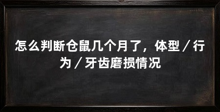 怎么判断仓鼠几个月了,体型/行为/牙齿磨损情况