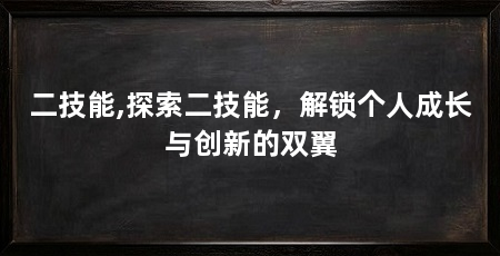 二技能,探索二技能，解锁个人成长与创新的双翼