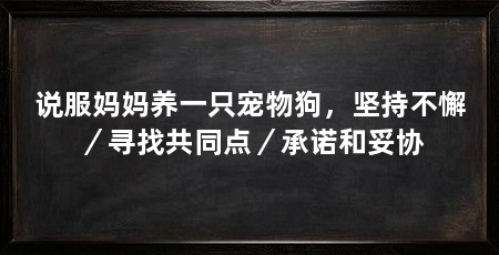 说服妈妈养一只宠物狗，坚持不懈／寻找共同点／承诺和妥协