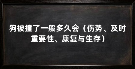 狗被撞了一般多久会(伤势、及时重要性、康复与生存)