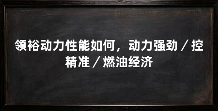 领裕动力性能如何,动力强劲/控精准/燃油经济